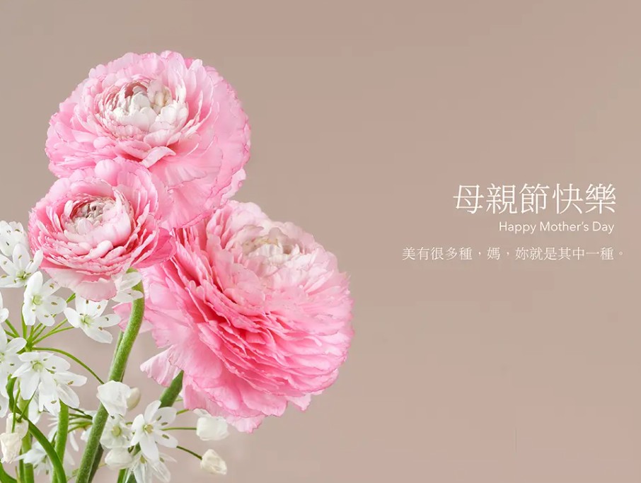 母親節快樂